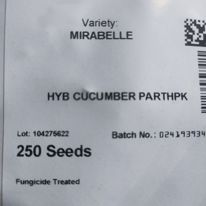 Ogórek Mirabelle , Gruzin,10szt  i inne