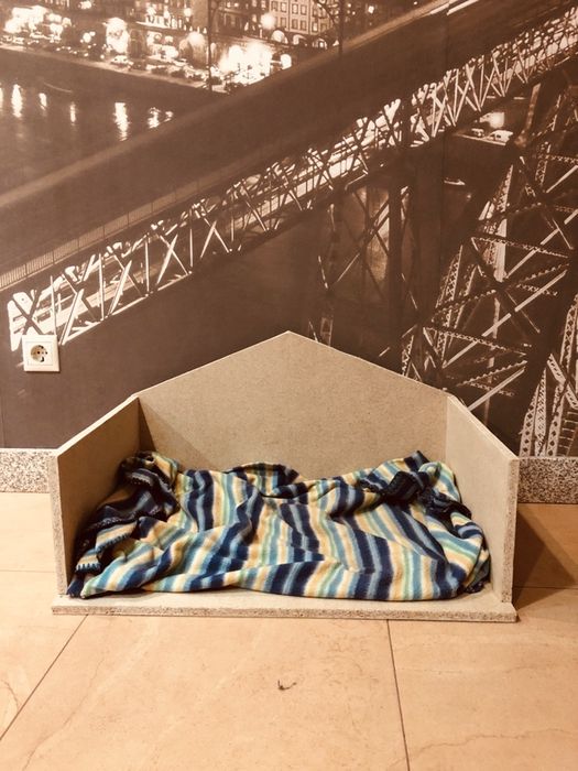 Cama para Caes e Gatos