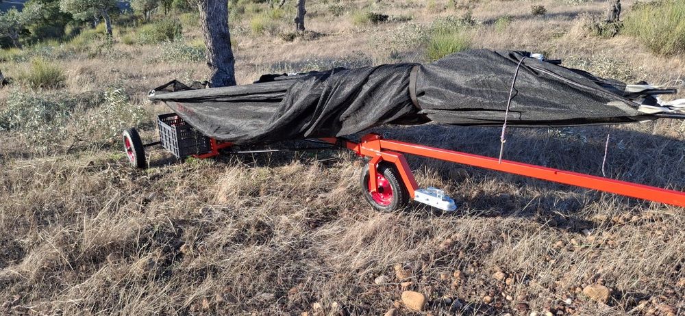 Apanha azeitona ou frutos secos