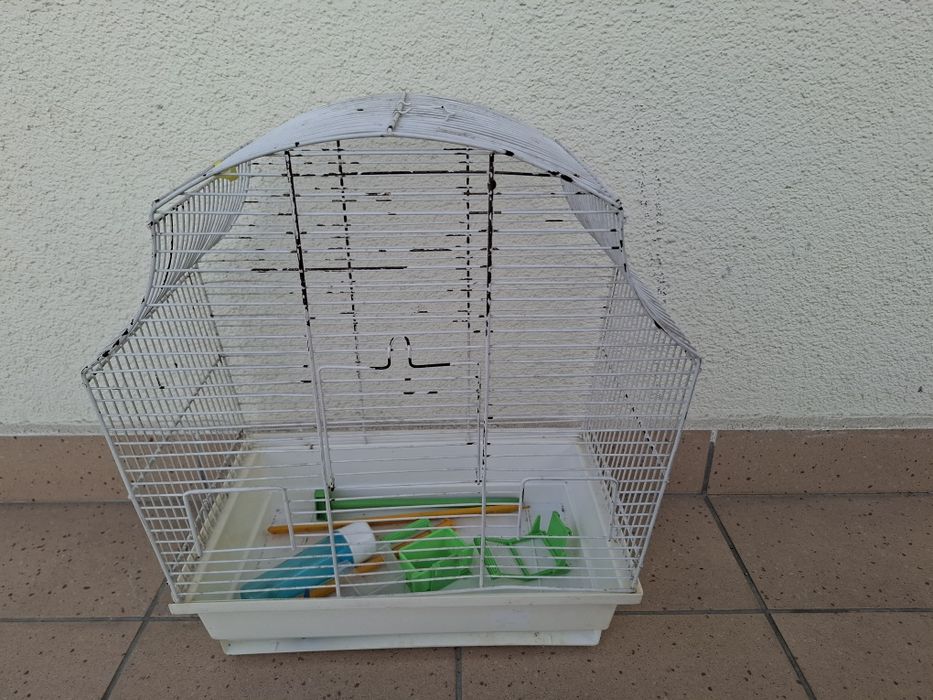 Klatkę dla ptaszka za darmo oddam