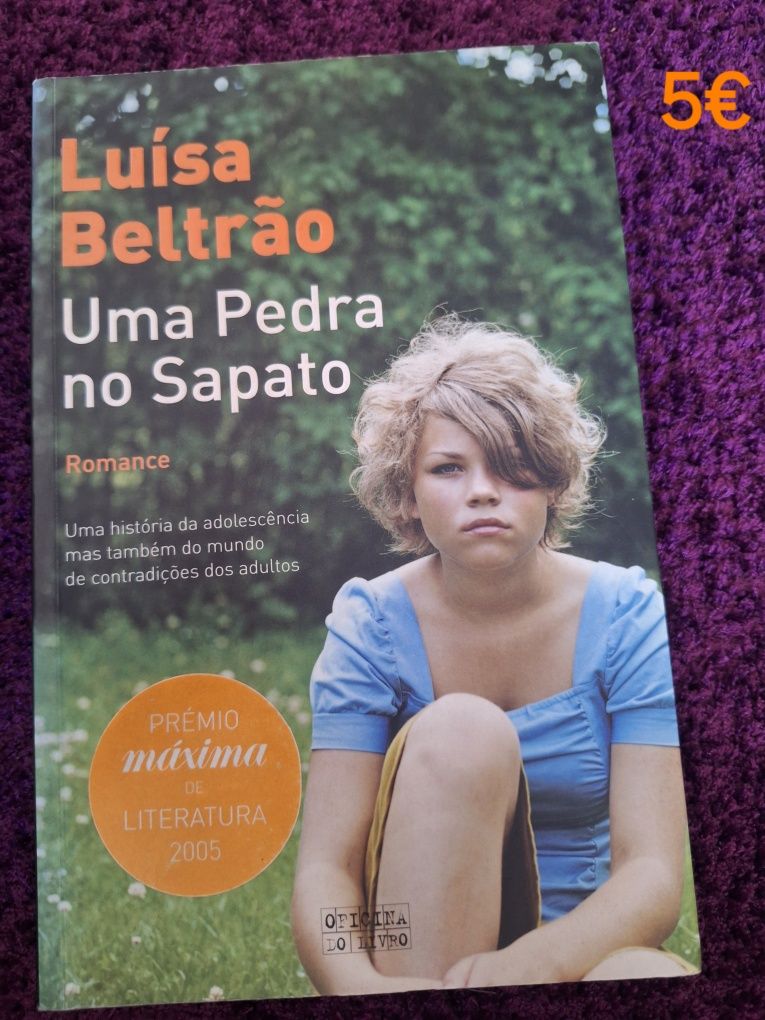 Livro uma pedra no sapato