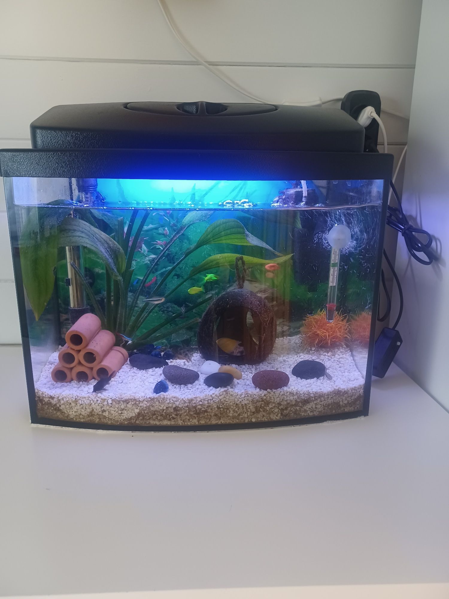 Akwarium 30 l kupione 3mce temu