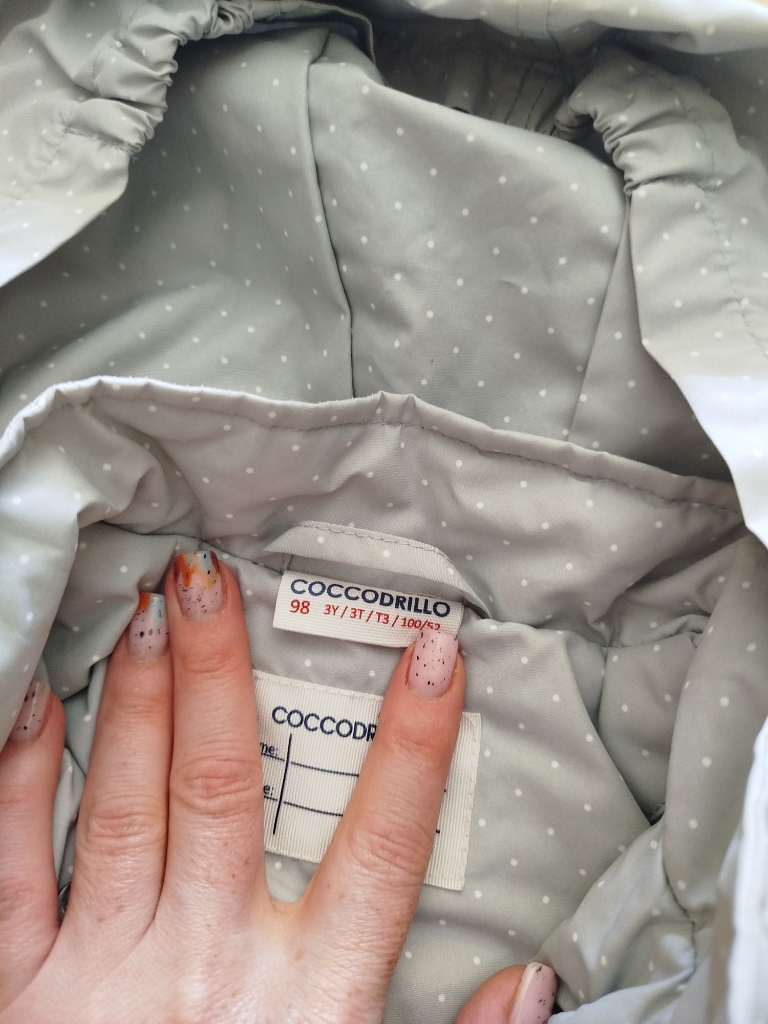 Coccodrillo przejściowa 98