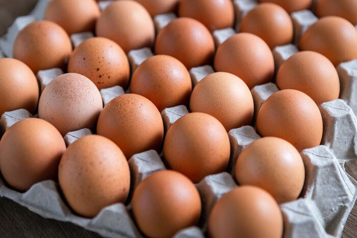 Продам Домашні яйця