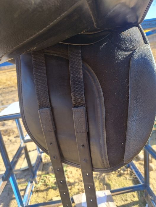 ujeżdżeniowe Claridge House 15'5 - 16"