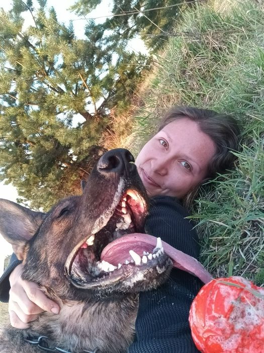 Кінолог Дресирування собак Боярка Нове Глеваха