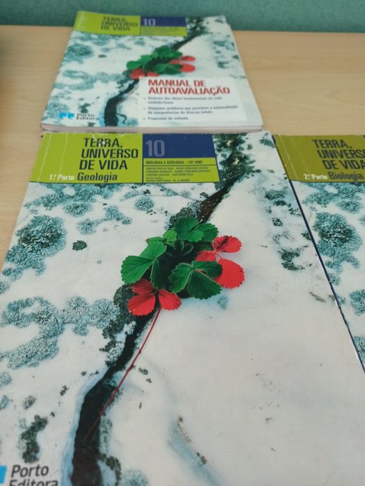 Livros escolares 10 ano