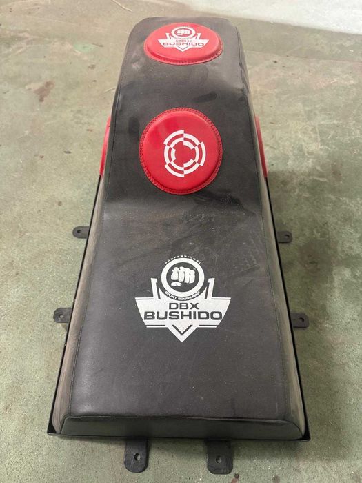 Tarcza ścienna bokserska z daszkiem Bushido DBX-W-10