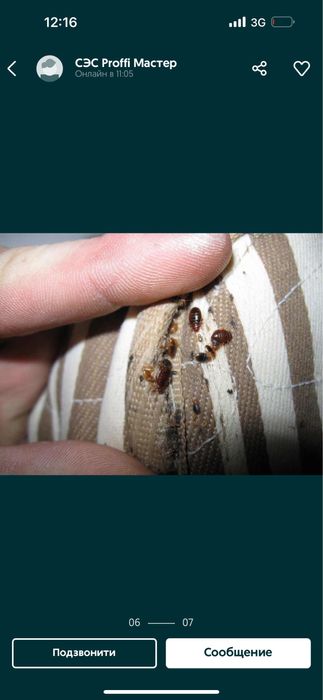 Травля тараканов , травля клопов , травля блох, тралвя ос, травля мух