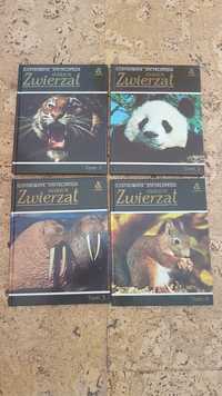 Ilustrowana encyklopedia dzikich zwierząt