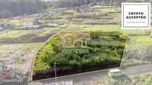 Terreno - Porto Moniz