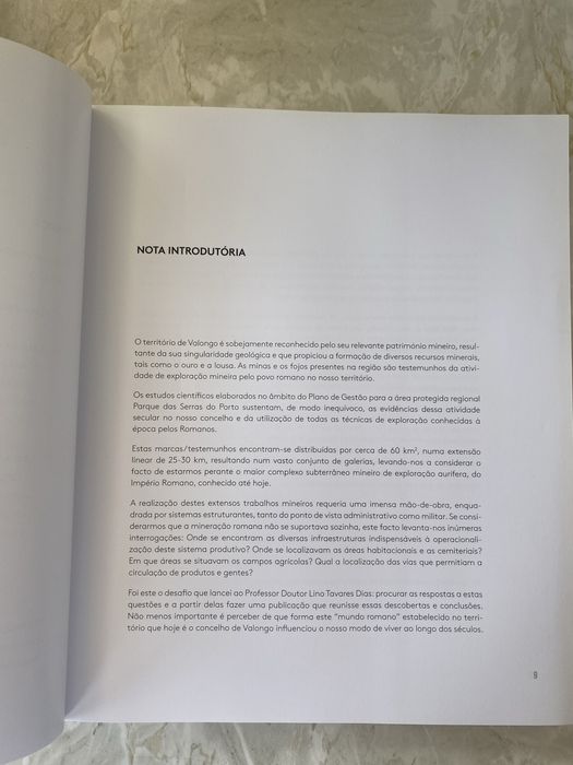 Os Romanos em Valongo