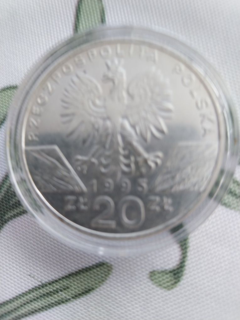 Moneta 20 zł kopia