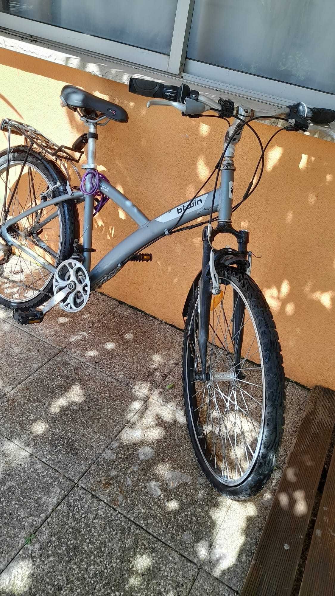 Biciclepa para adultos