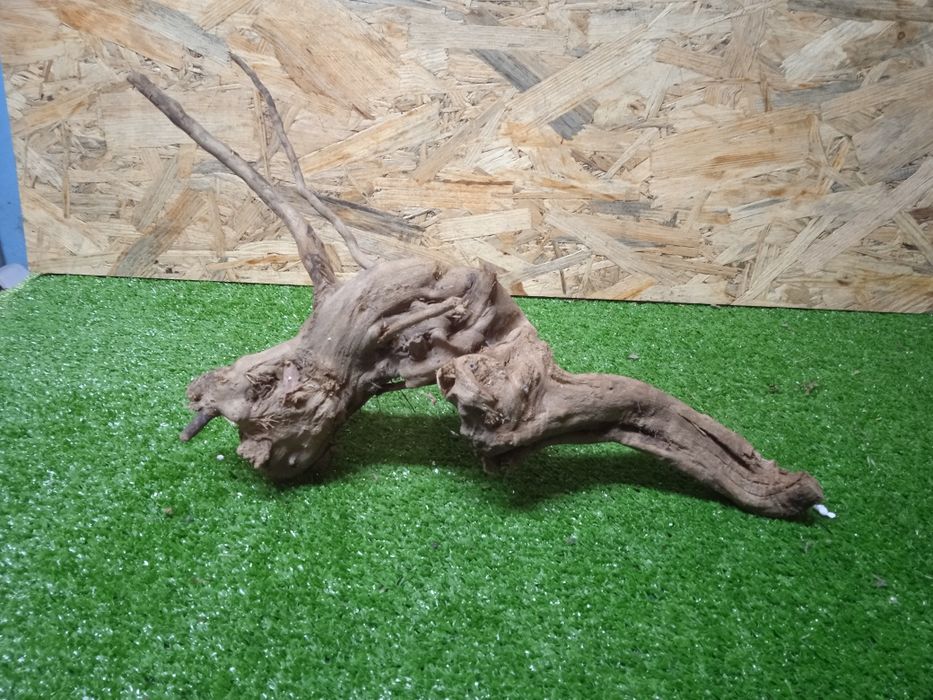 Korzeń do akwarium Red Moore Wood nr 351 o wymiarach 37/12/21