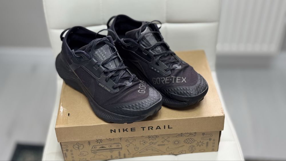 Оригінальні чоловічі кросівки Nike Pegasus Trail 3 GORE-TEX
