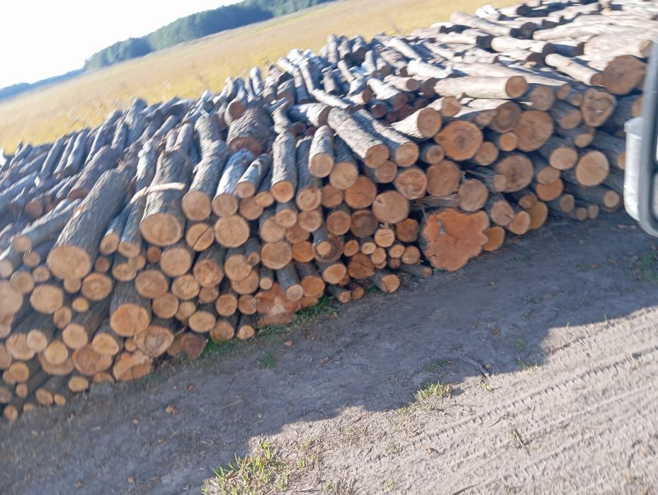 sprzedam drewno opalowe i kominkowe
