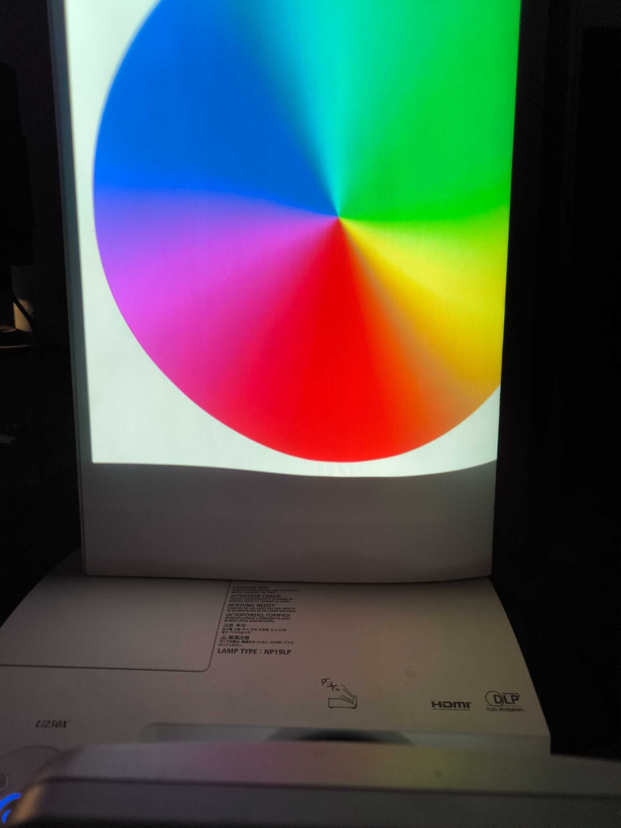 Projektor NEC NP250X DLP + Ekran GRATIS