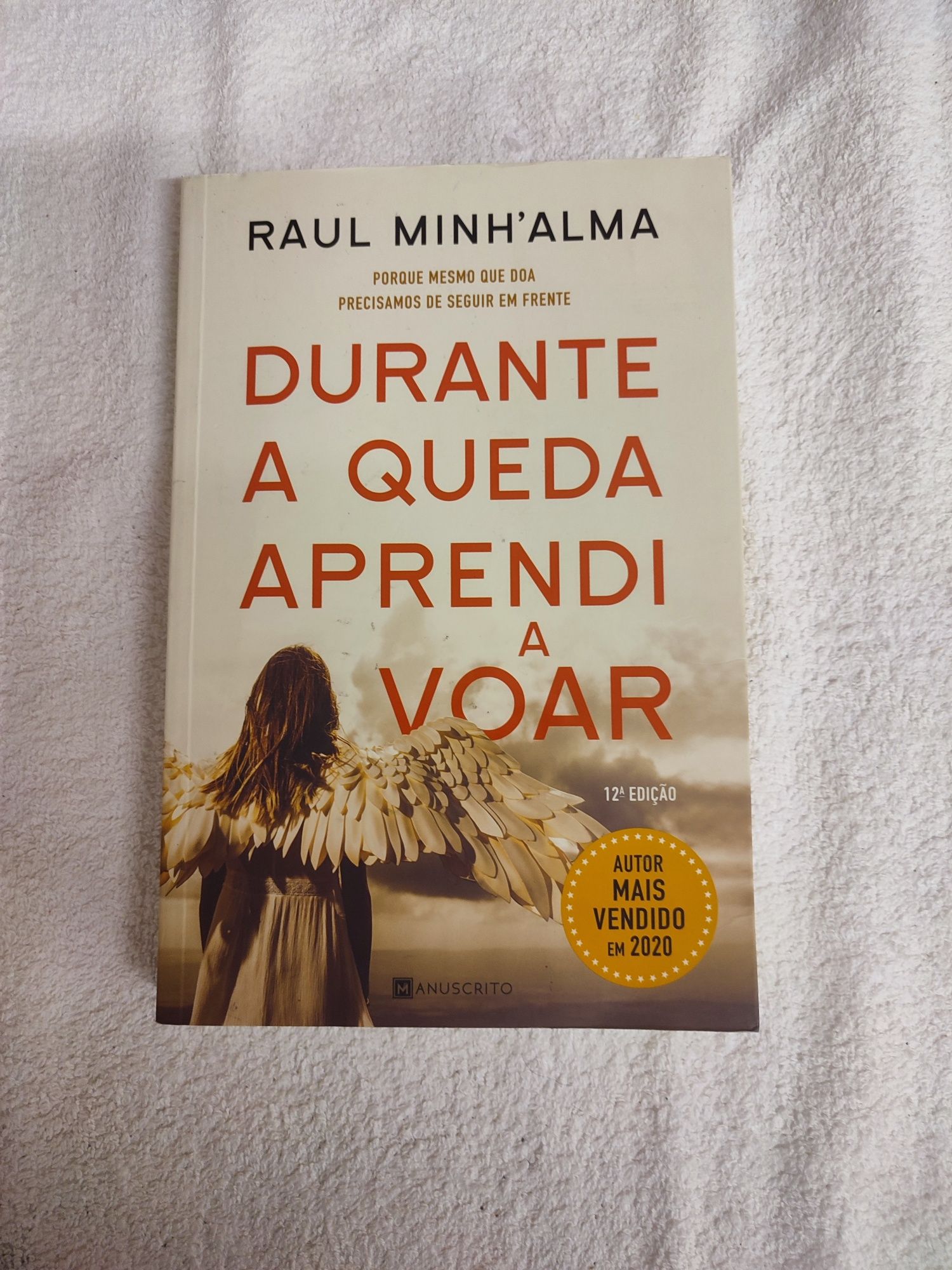 Livro Raul Minh'Alma Durante a queda