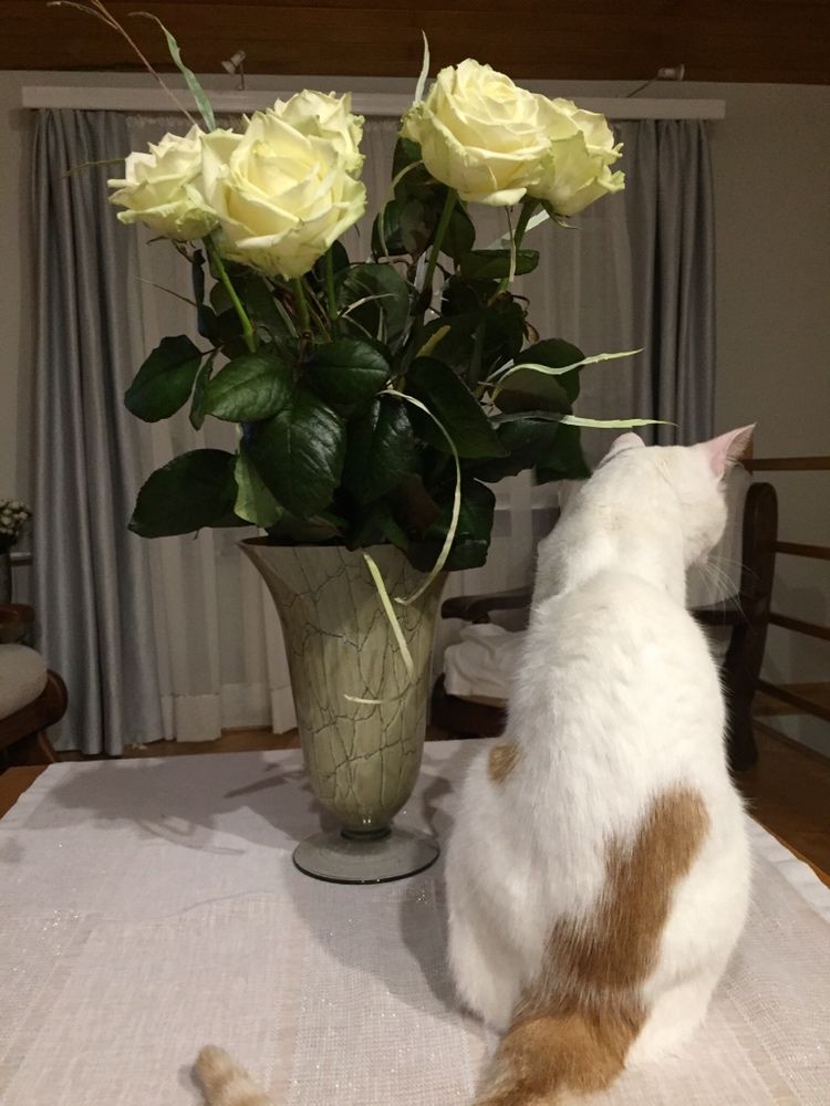 Duży wazon Krosno New Look