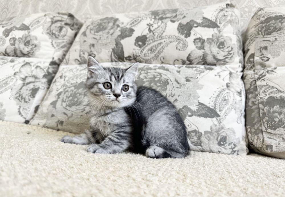 Мечты должны сбываться!