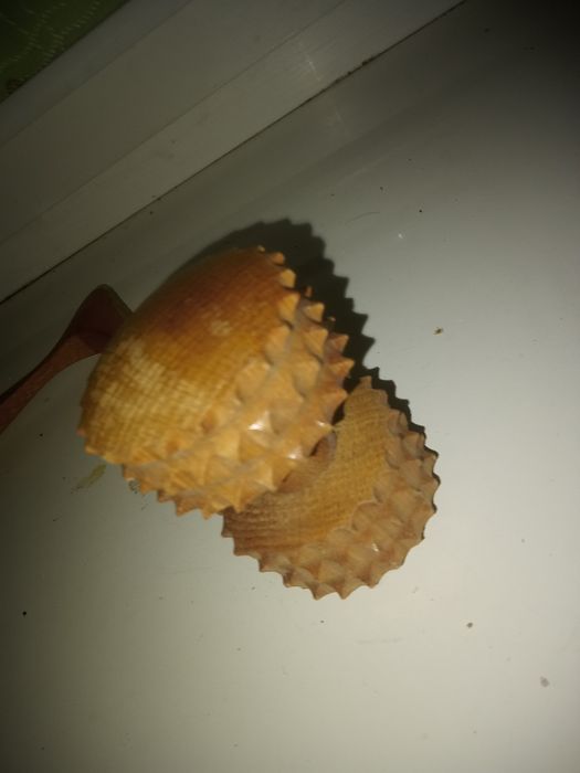 Продам массажёр для спины