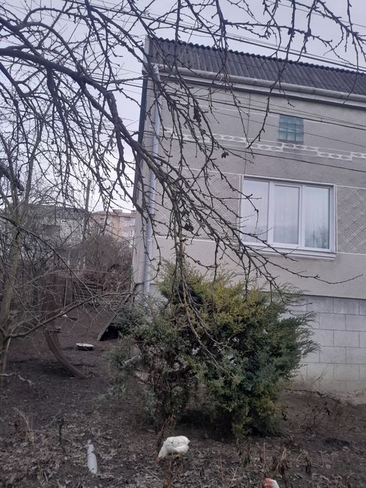 Продаж будинку, Пустомити