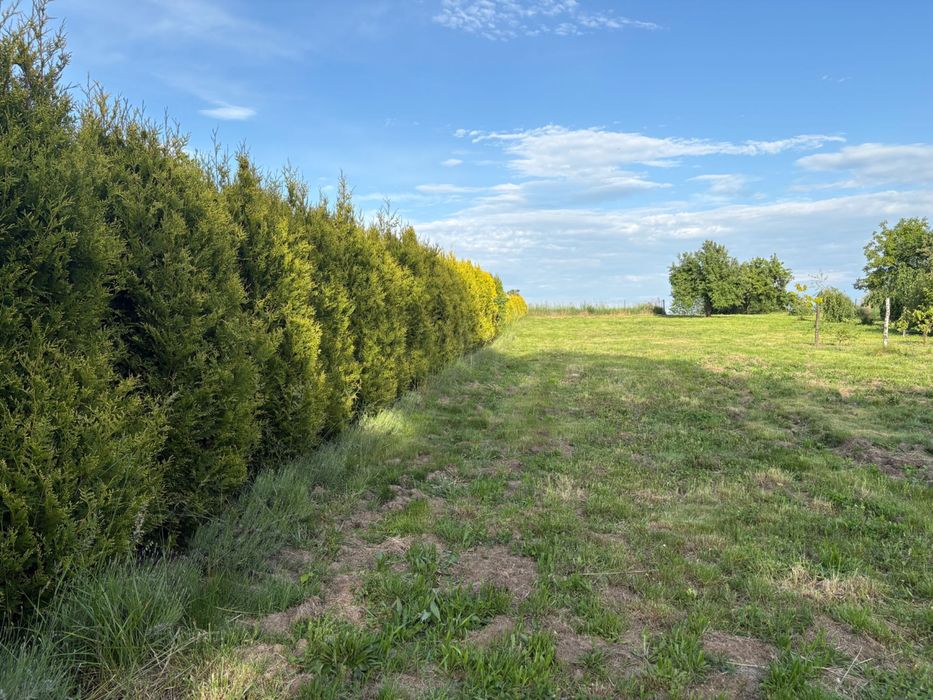 Kwaczała działka 4948 m²ogrodzona z mediami, garażem i ogrodem 5min a4