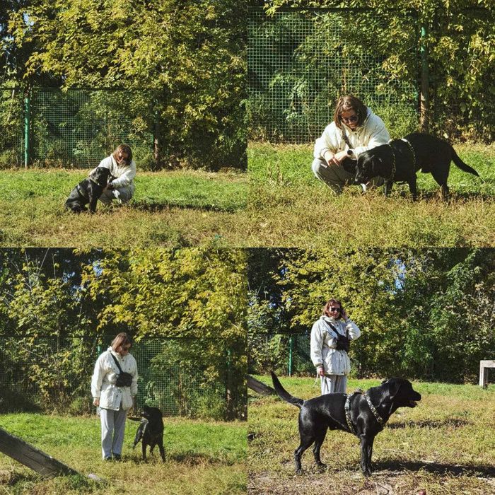 Spacer z Psem, Petsitting (Psy\Koty) Opieka Całodobowa Krzyki