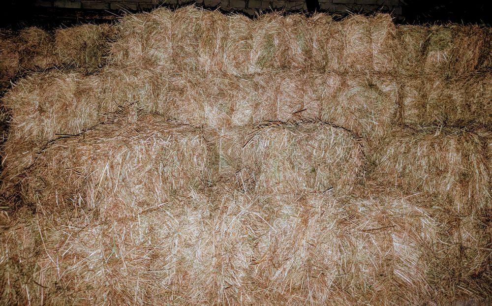 Sprzedam siano kostka