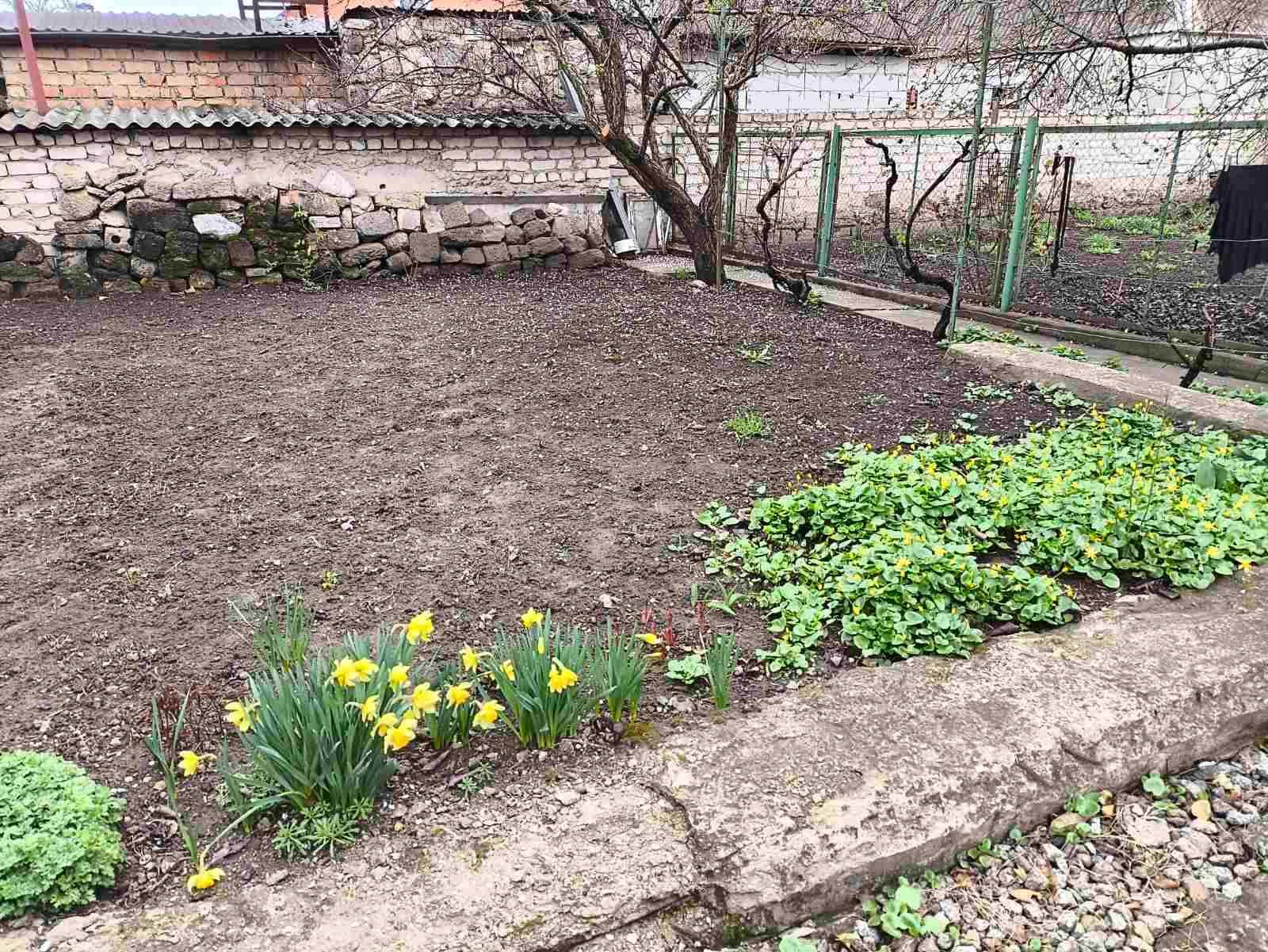 Продам дом Усатово, центр, 3 комн, 3.8 сот,  рядом Нерубайское
