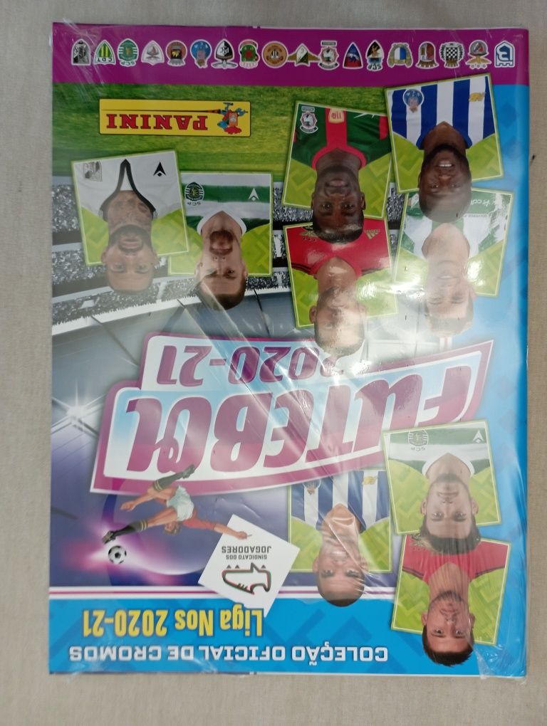 Cadernetas Panini Futebol