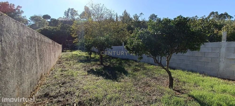 Terreno Urbano Mira de Aire