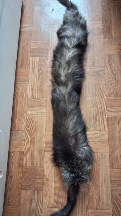 Kołnierz ozdobny z lisa.