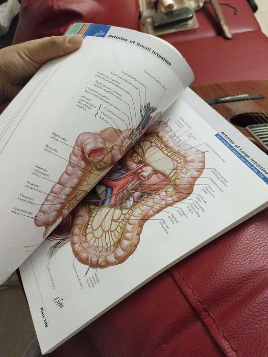 Atlas de anatomia humana