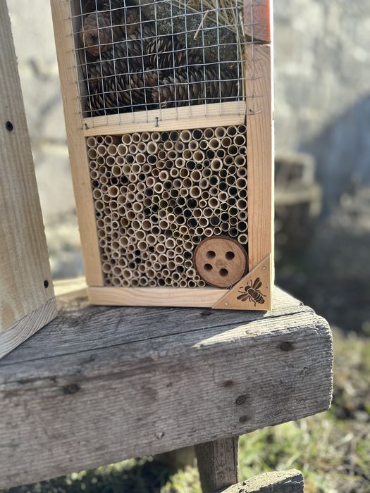 Будинок для комах