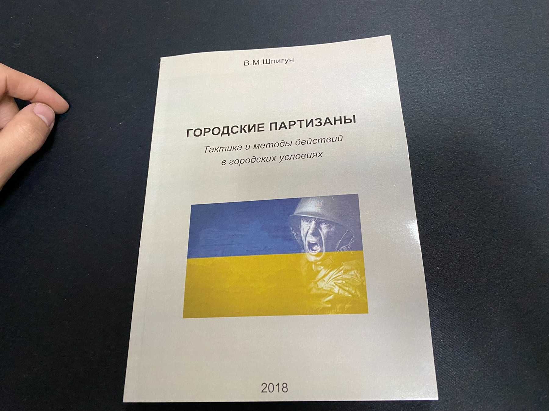 Книга Городские партизаны В. Шпигун