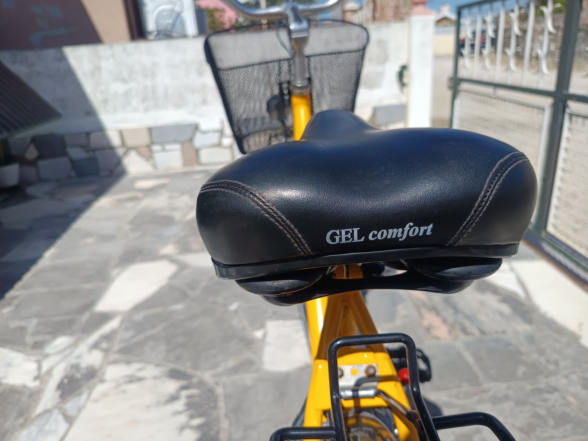 Bicicleta tipo pasteira
