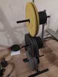 Suporte para Discos/Pesos/Bumpers e Barras de Musculação