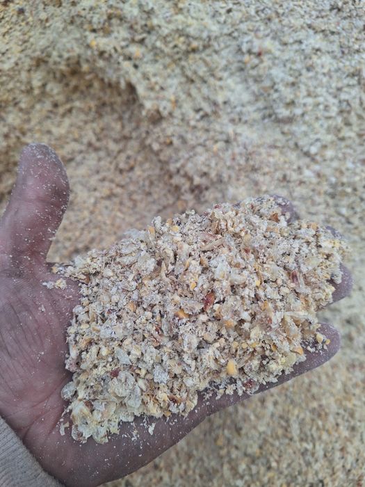 Kukurydza mokra ziarno całe lub mielone z dostawą w każde miejsce