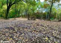 Działka budowlana 1819 m² – Żory Osiny | Media | Spokojna okolica