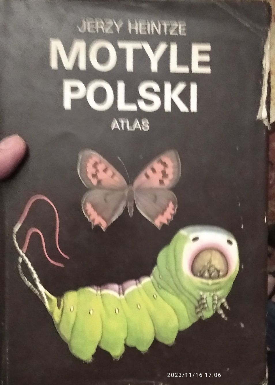 Определители насекомых, гол. моллюсков, земн. и пресмыкающихся и птиц