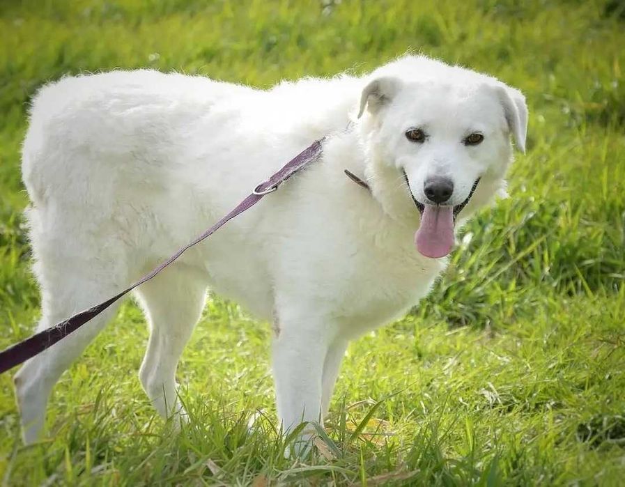 Liza - chcę być czyjąś białą, kochaną chmurką