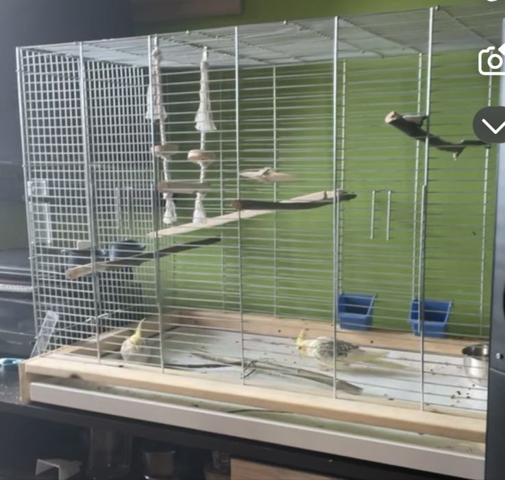 Klatka dla papug duża