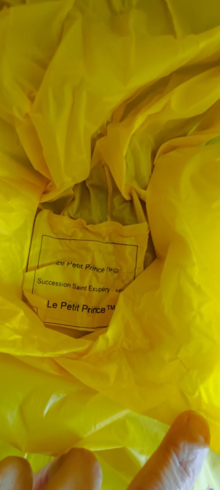 Capa de chuva amarela Le petit Prince