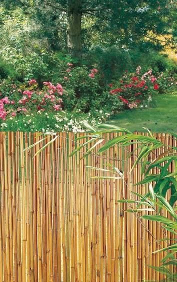 Cerca de cana de Bambu