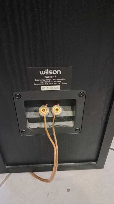 Kolumny głośnikowe, podłogowe  Wilson Raptor 7 , 180 W kosztowały 2300