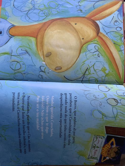 Livro carochinha e João Ratão