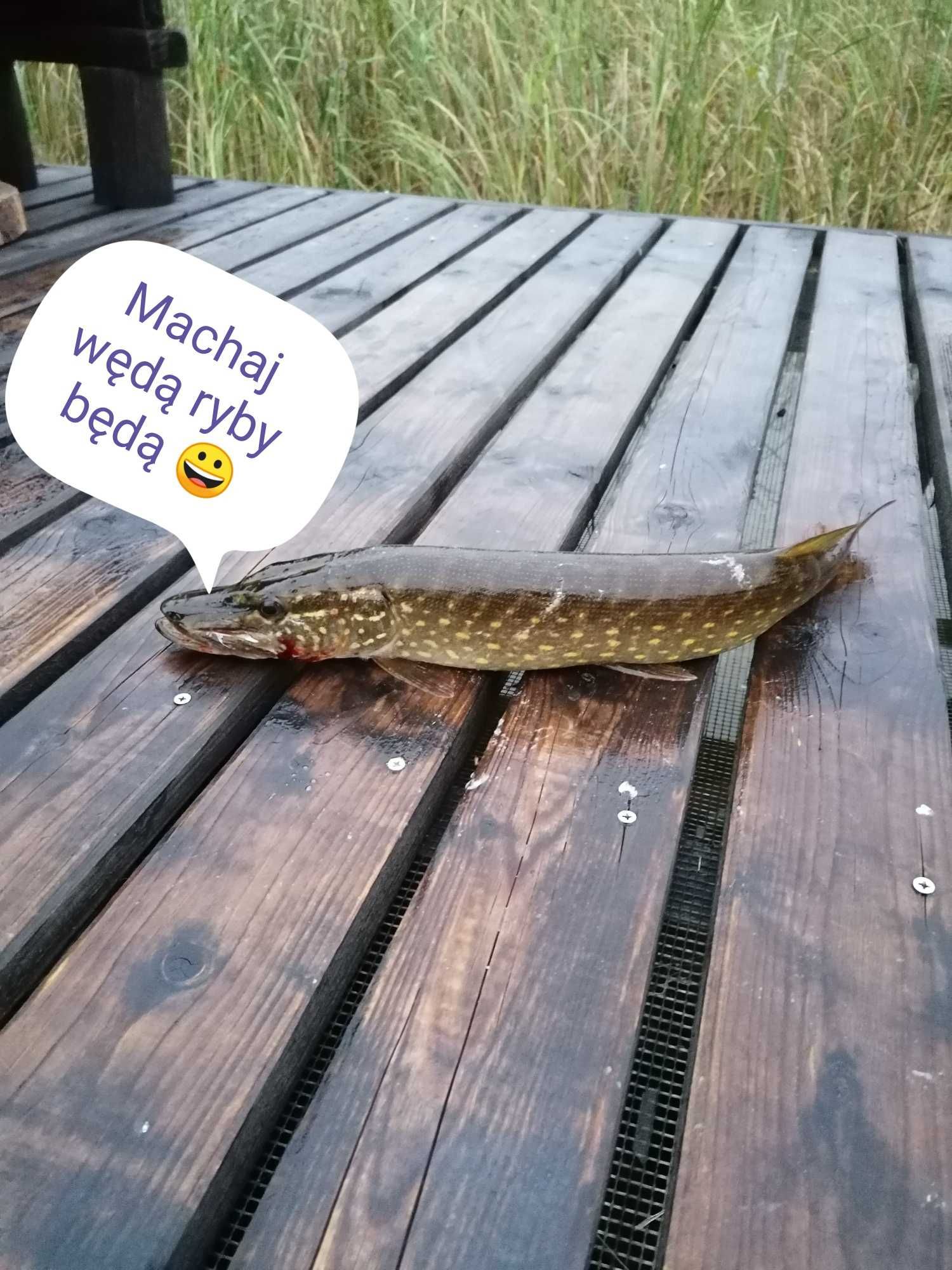 Domek Mazury pierwsza linia brzegowa