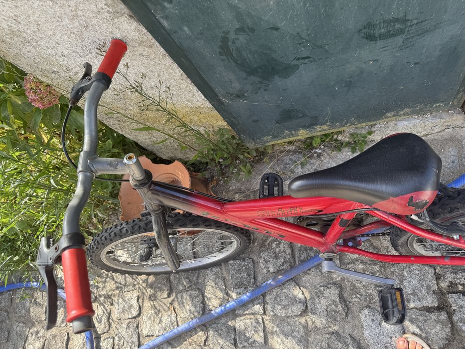 Bicleta de crianca